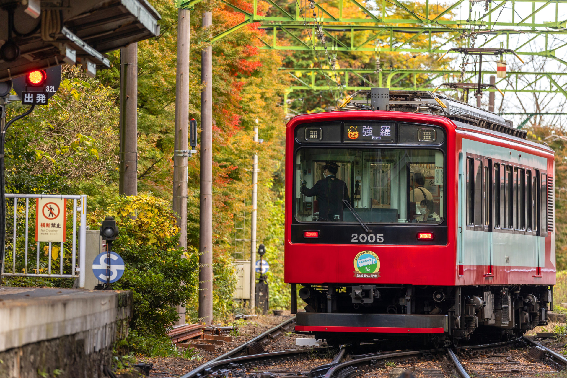 いざ、定番の箱根旅へ！箱根登山電車と箱根ウォーキングを楽しもう！ ｜特集 ｜【公式】神奈川県のお出かけ・観光・旅行サイト「観光かながわNOW」